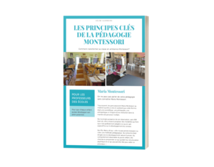 Ebook