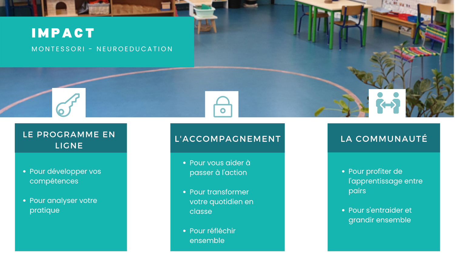 IMPACT organisation