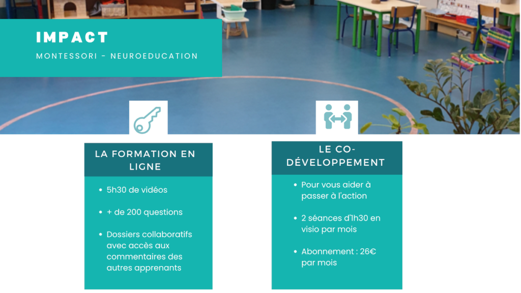 formation en ligne et co-développement